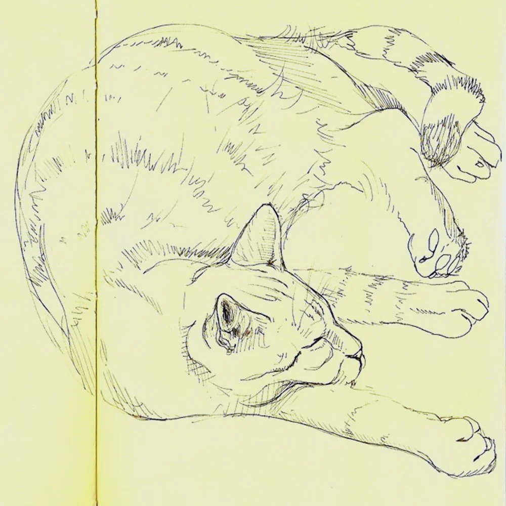 I haven’t posted in a while…