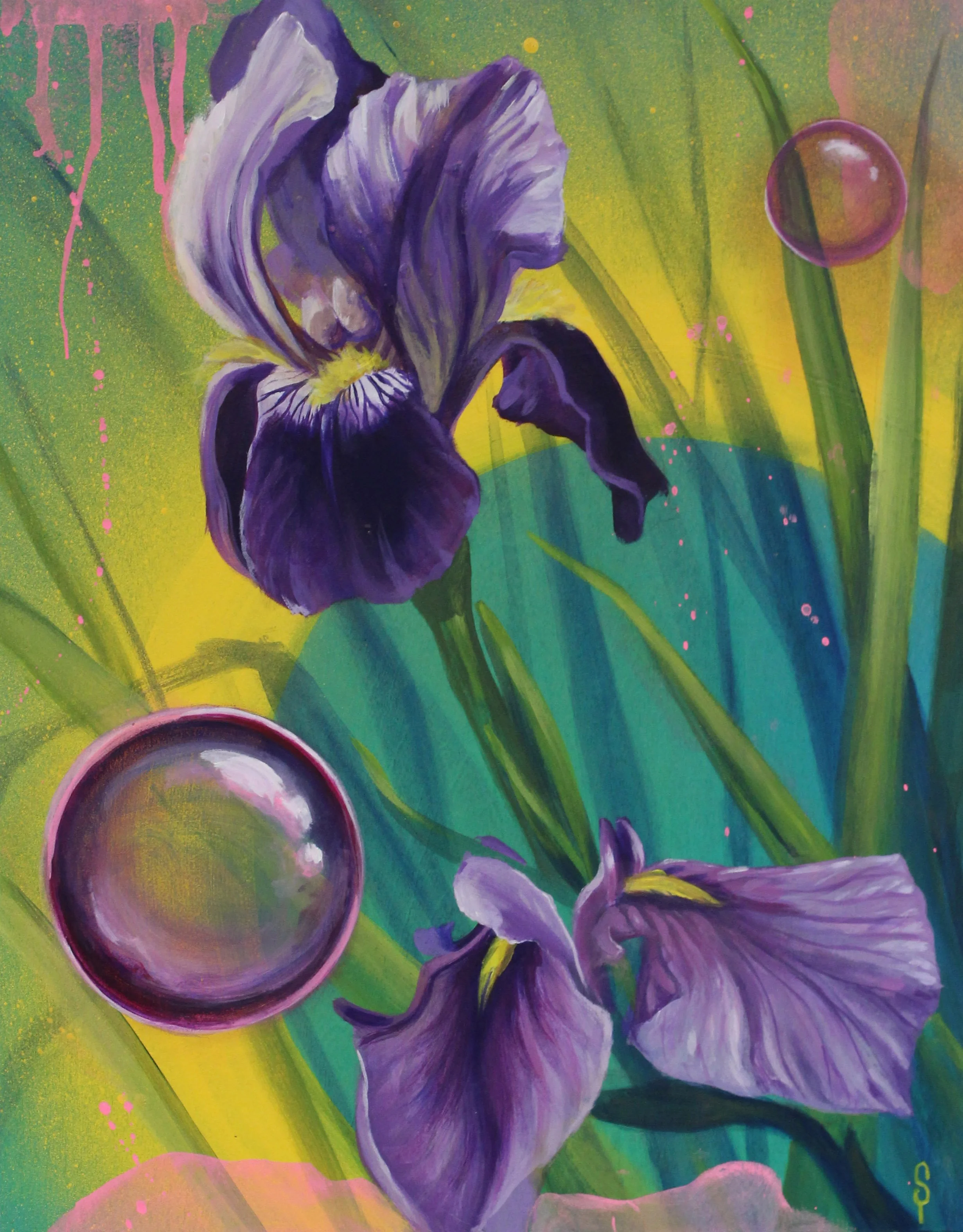 Irises // Acrylic & Aerosol on Wood // 2026 // AVAILABLE