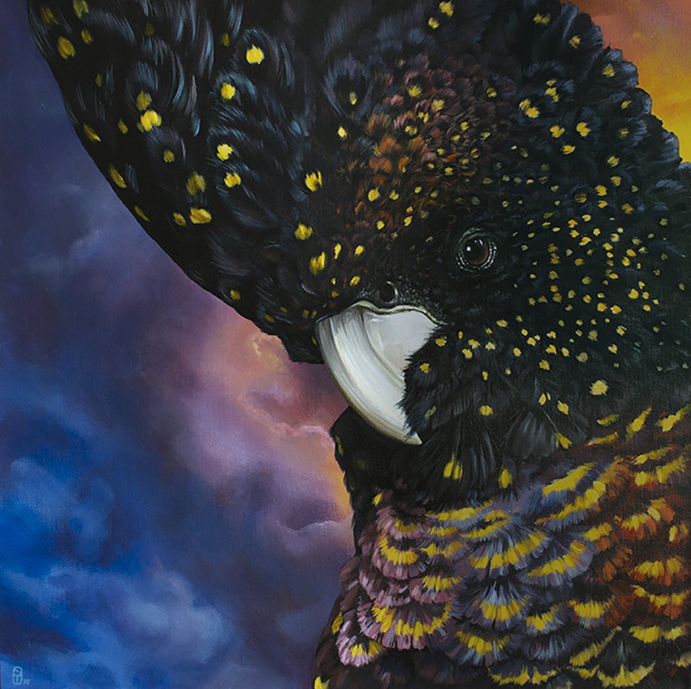 Future Bird // 24x24" // Acrylic // 2020 //  Original available 