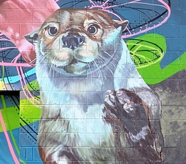 close up of the otter's face