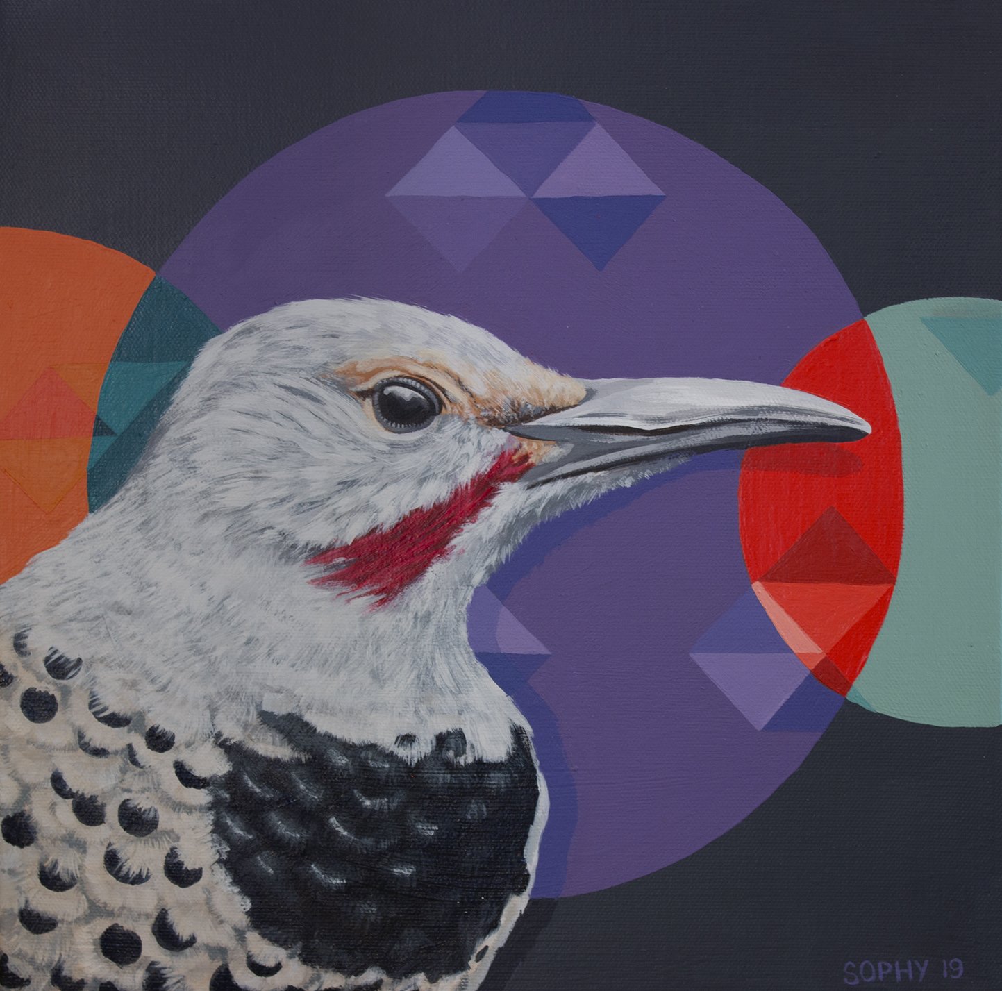 Circles Northern Flicker // 12x12" // Acrylic // 2019 //  Original  and
 Prints  available