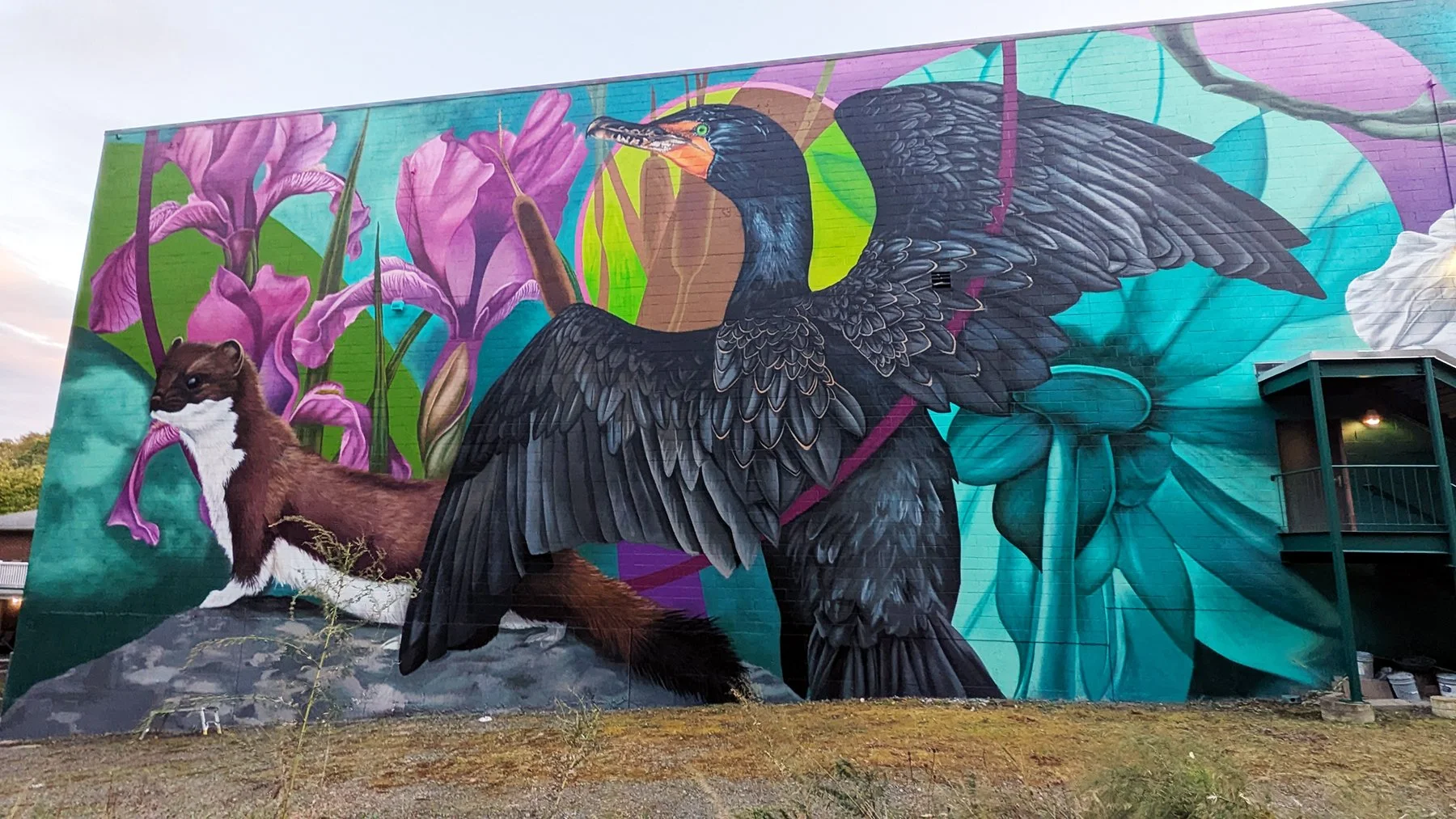 cormorant side - web.jpg