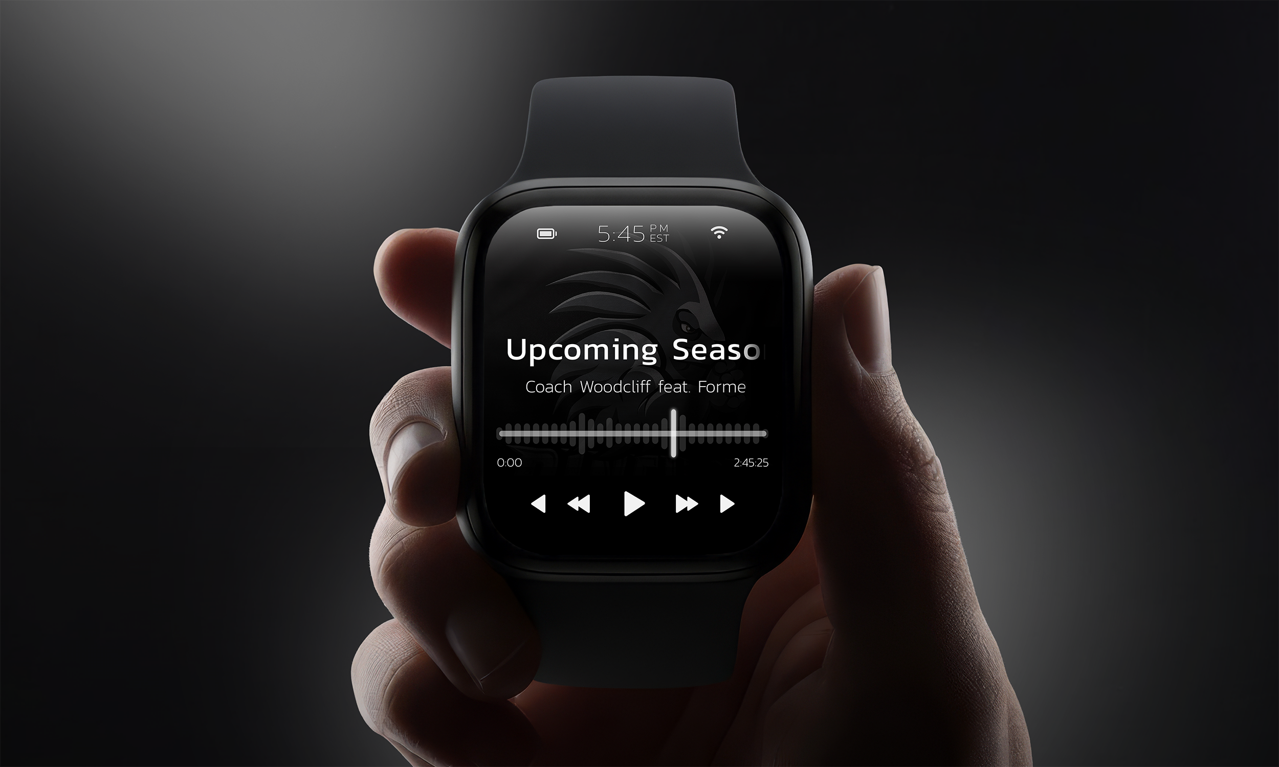 Pinehogs Smart Watch Display