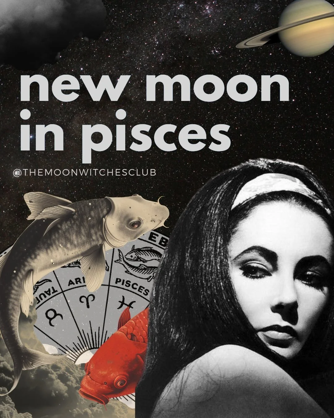 NEW MOON AT 28&deg; PISCES
Thursday 19th March @ 01:23 GMT

This is the first new moon after an intense eclipse season. Mercury is about to station direct. Time to come back to your manifesting practice. Time to dream again.

With this new moon, the 
