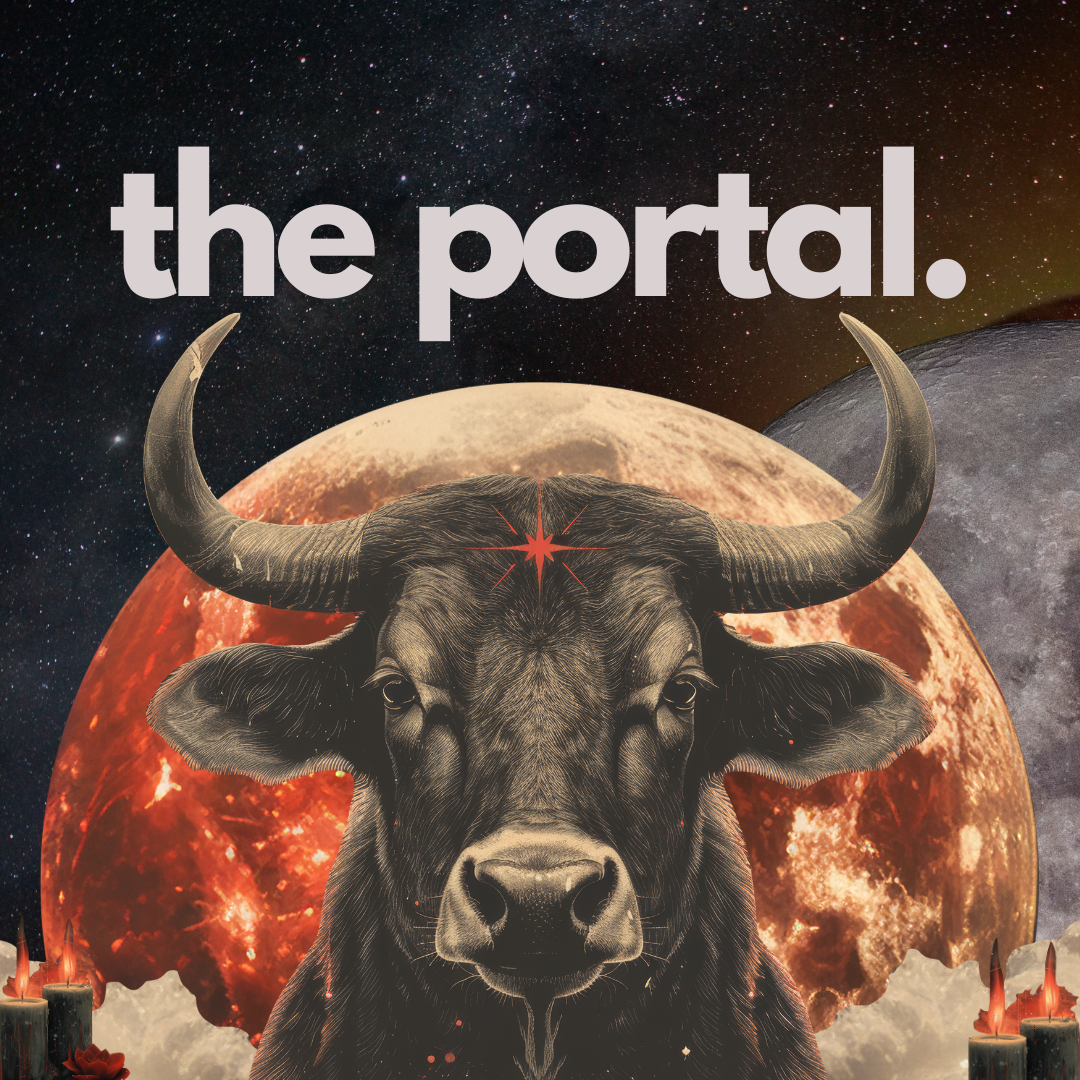 THE PORTAL