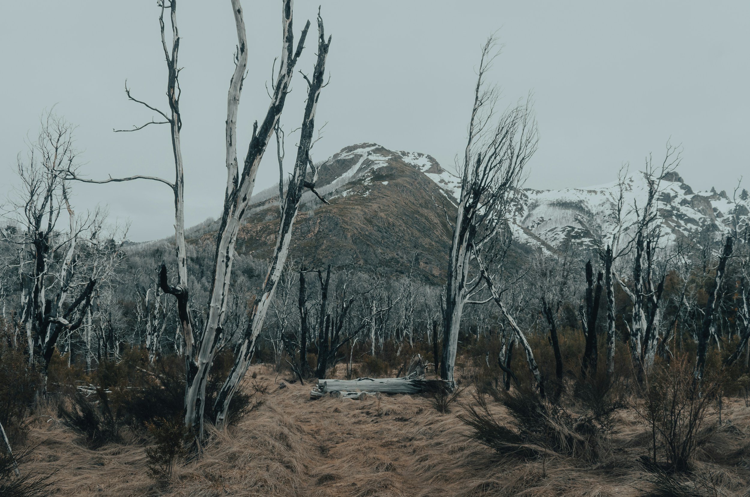 Breaking the Cycle of Shame: A Recovery Reflection Guide
