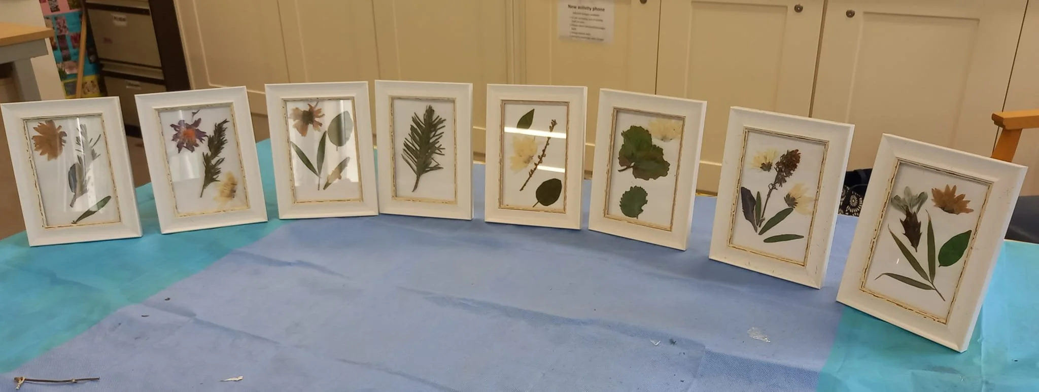 pressed flowers uwp.jpg