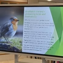 sustainability powerpoint UWP.jpg