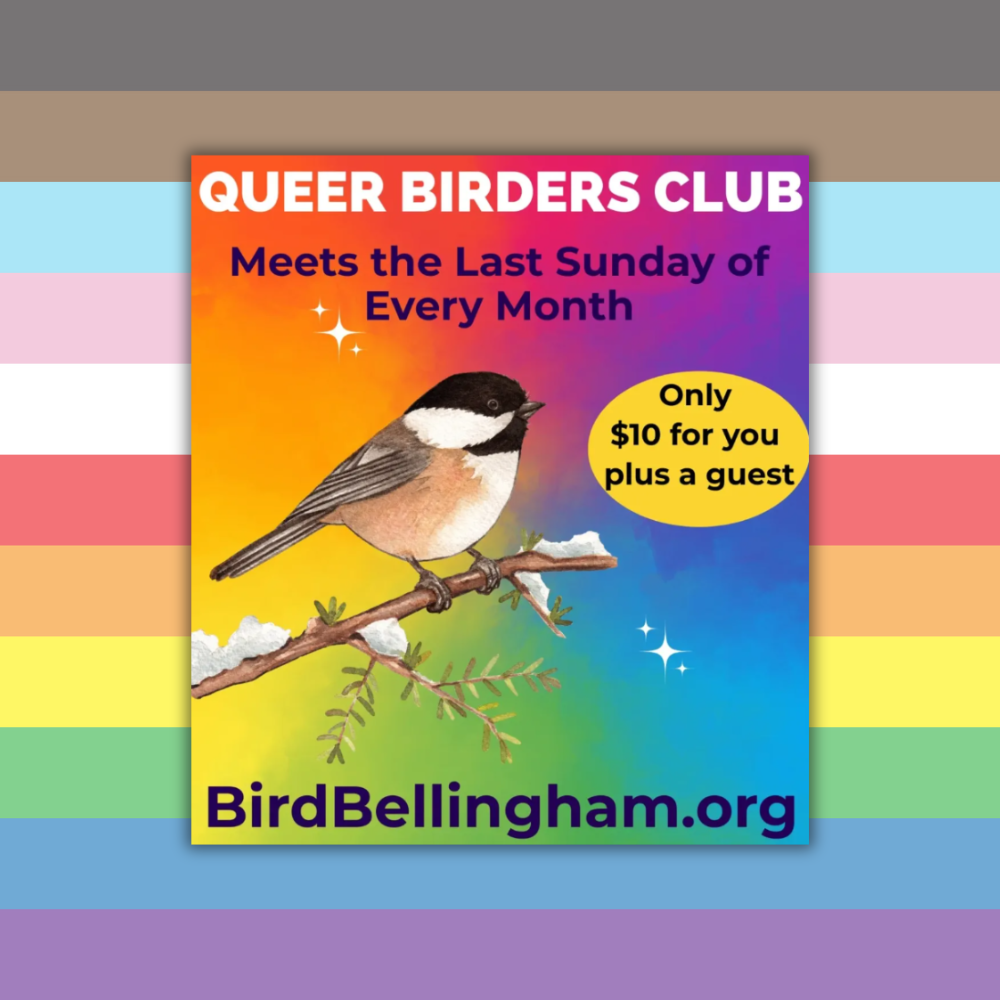 COMMUNITY EVENT: Queer Birders Club