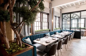 The Blue Elephant Wayne