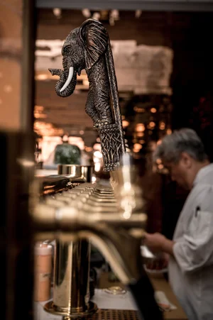 The Blue Elephant Wayne