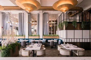 The Blue Elephant Wayne