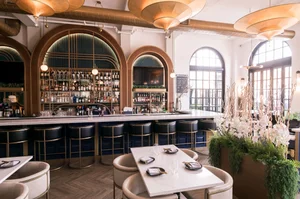 The Blue Elephant Wayne