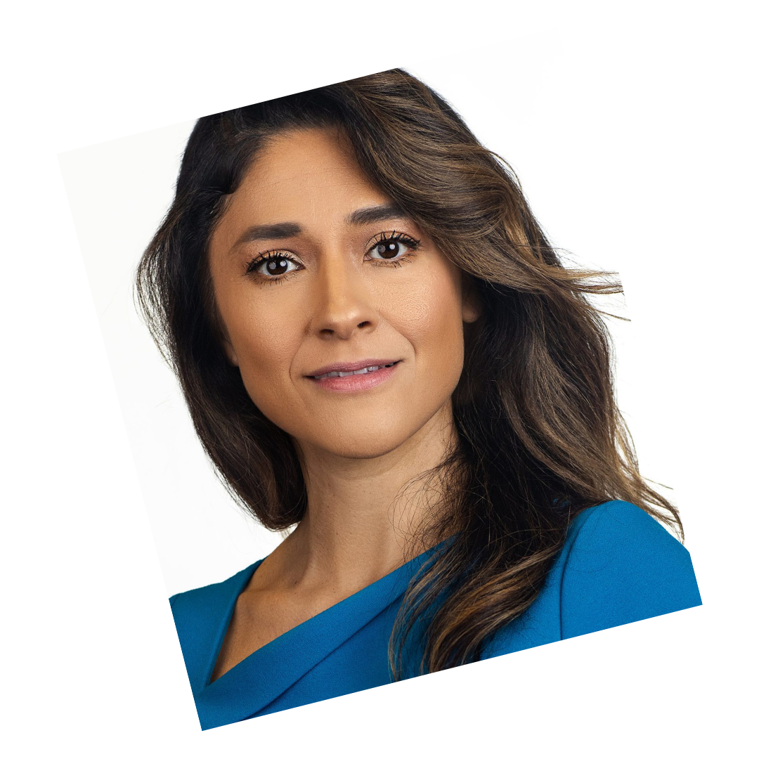 Professional headshot of a woman with long brown hair wearing a blue blouse, photographed against a white background.