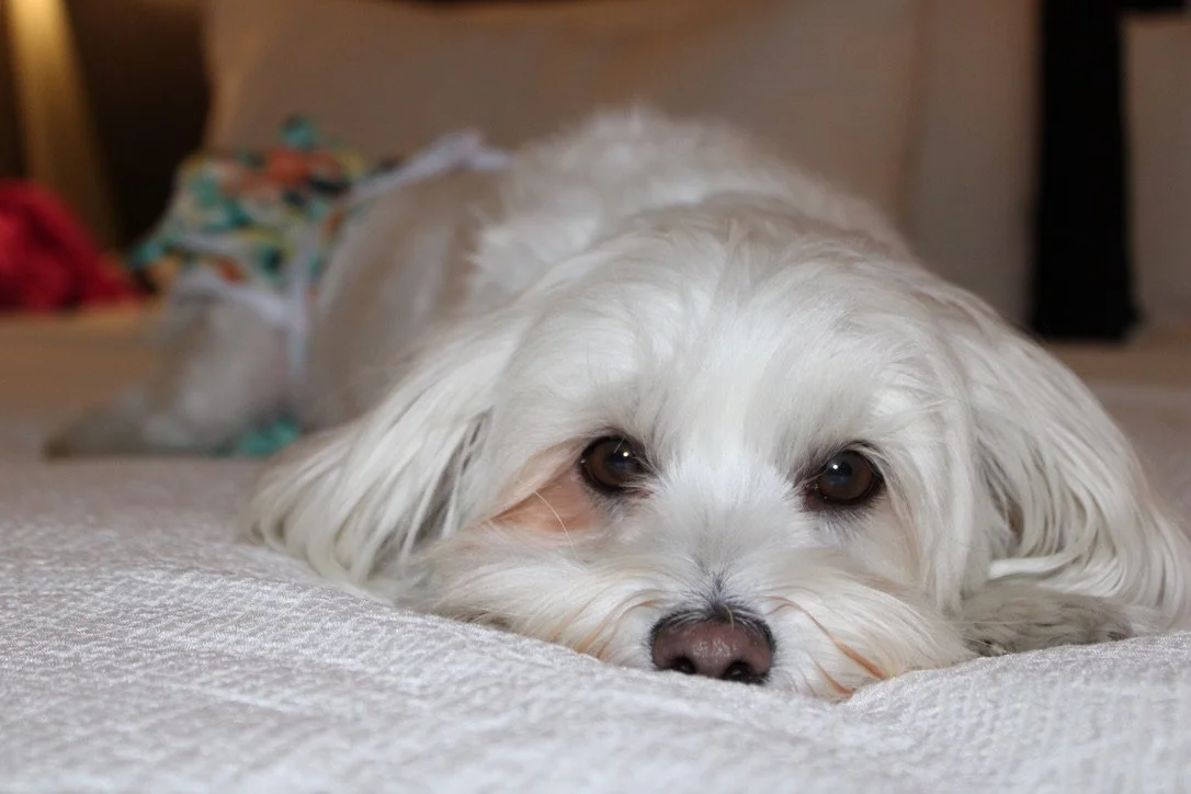 The Orr Report | November 2025