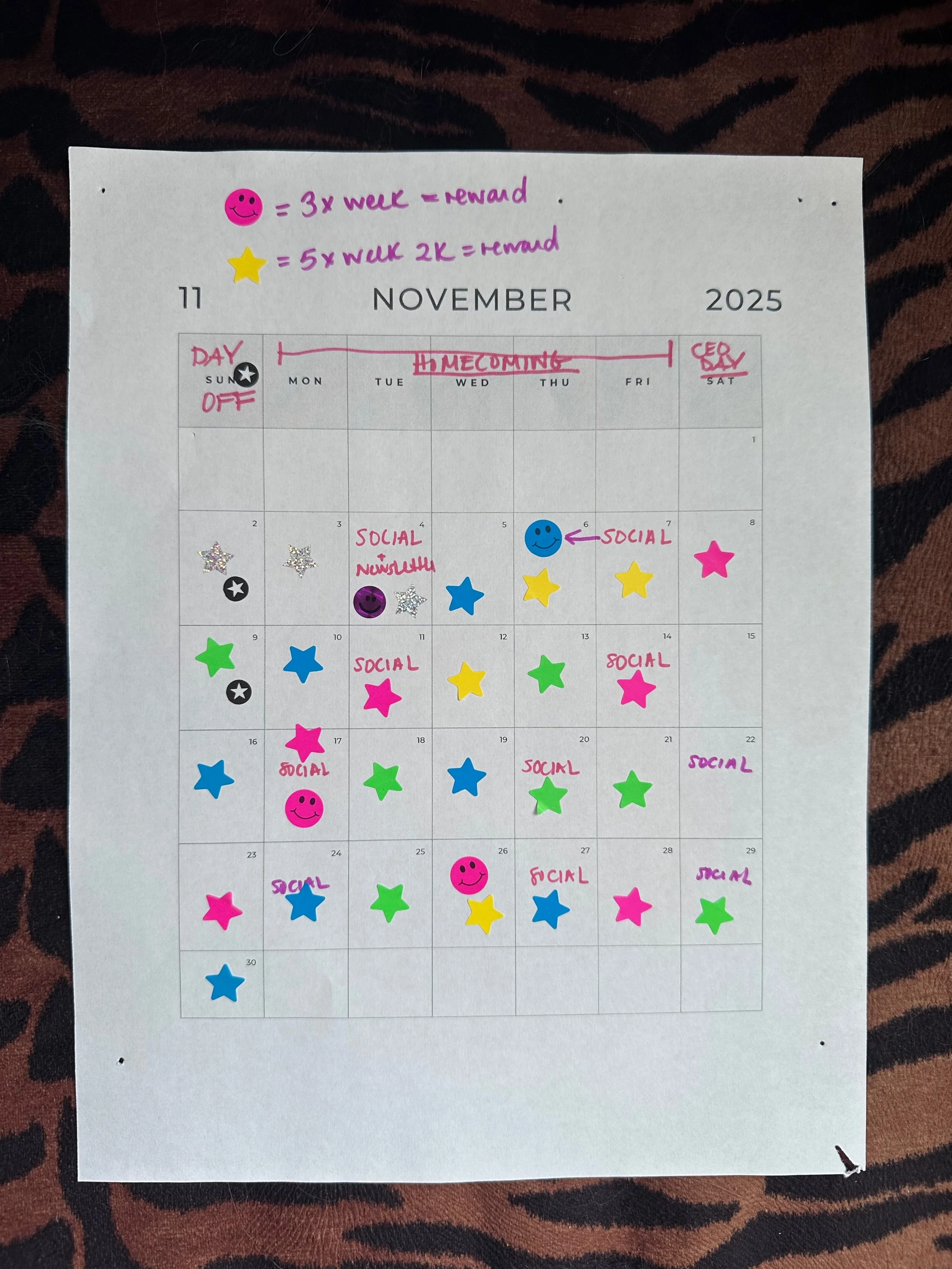 My Favorite Productivity Tools for Writing