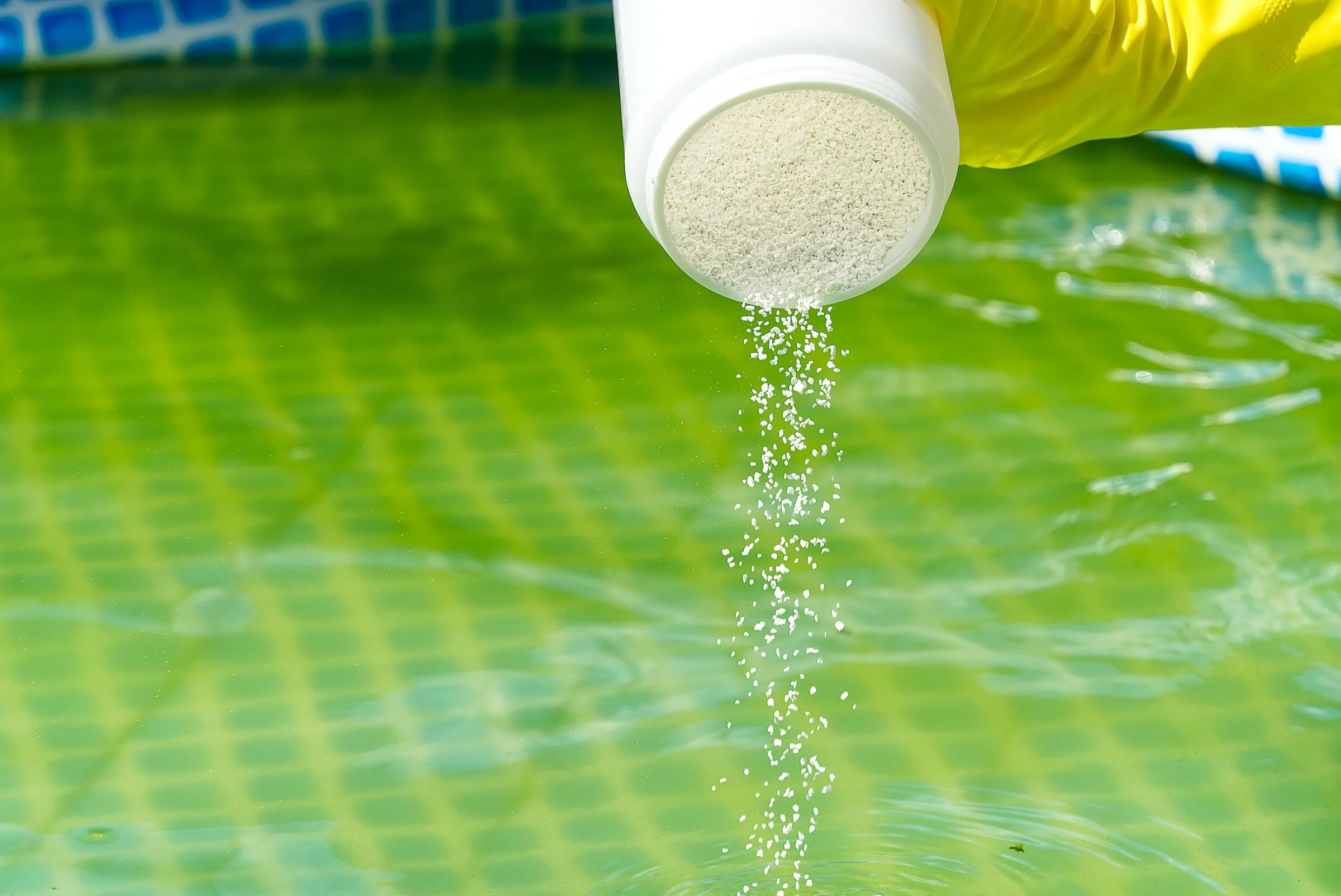 That slimy substance might be pool algae, so what should you do about