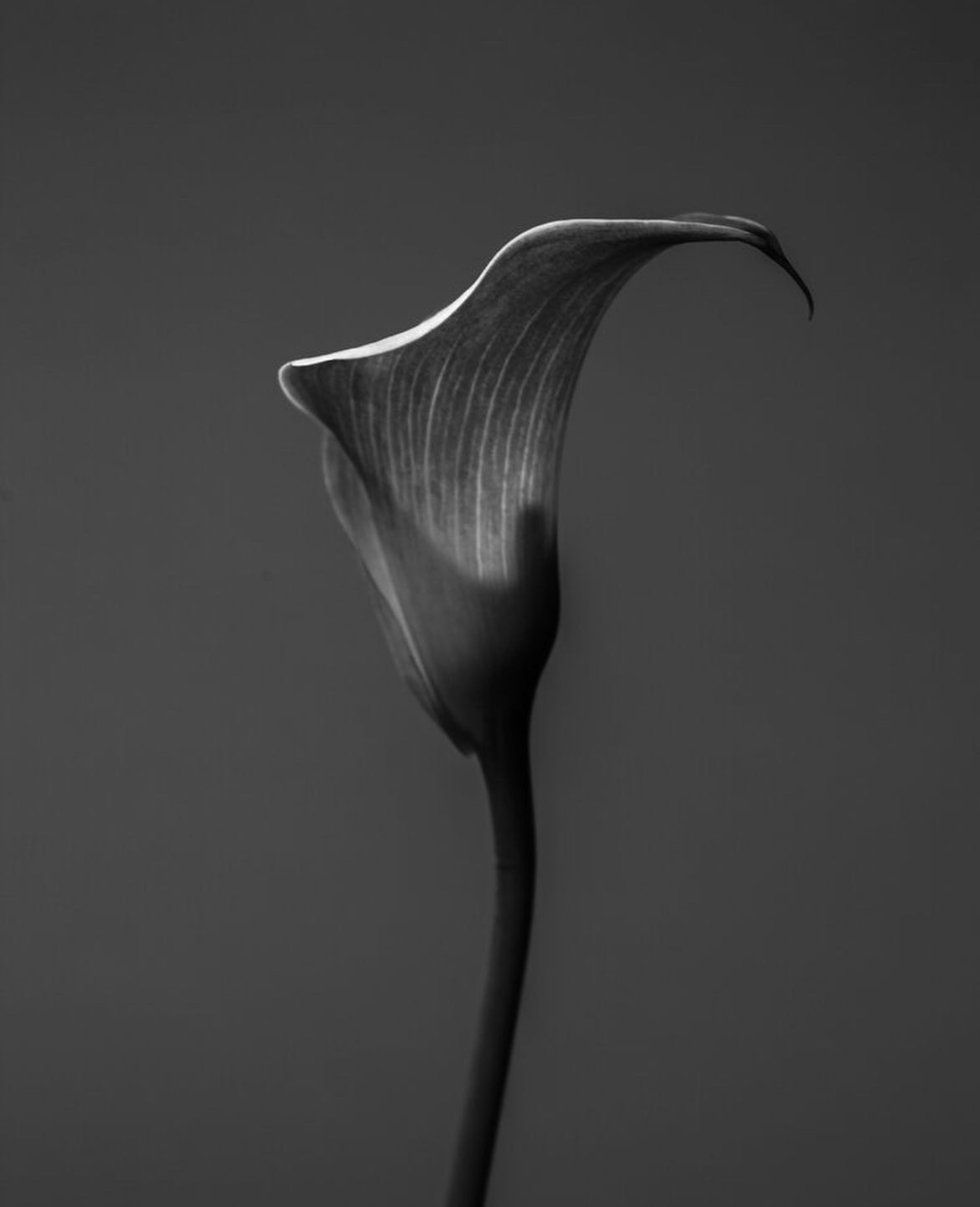 Screenshot 2026-03-23 at 2.24.52 PM.png