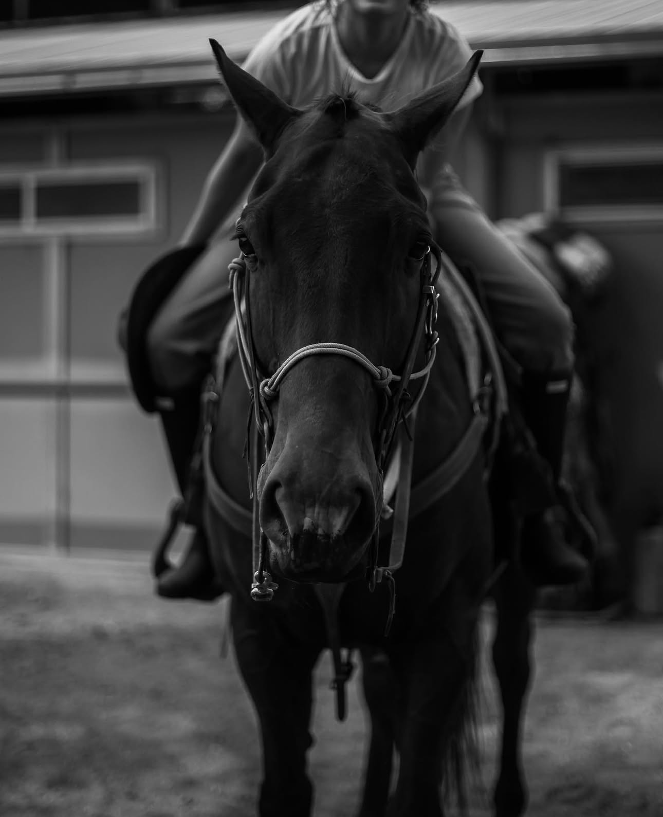 Screenshot 2026-03-23 at 2.26.59 PM.png