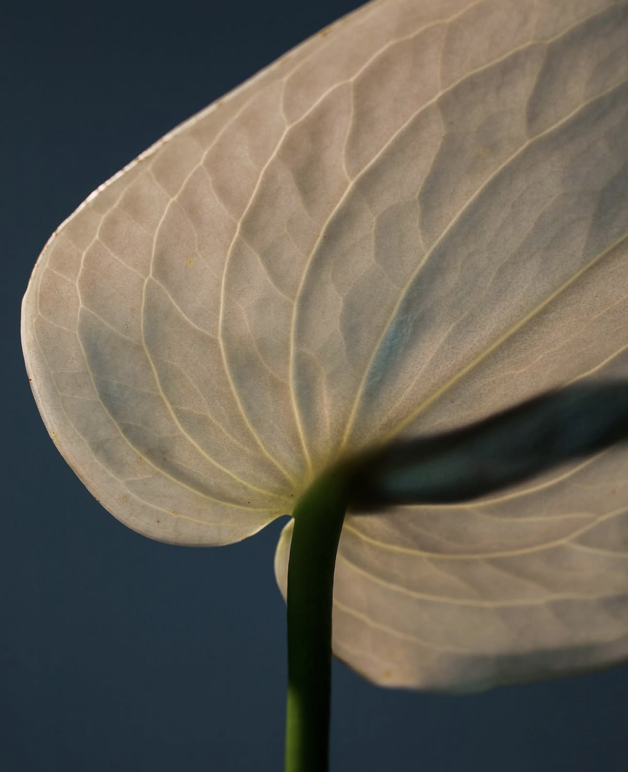 Screenshot 2026-03-23 at 2.26.37 PM.png