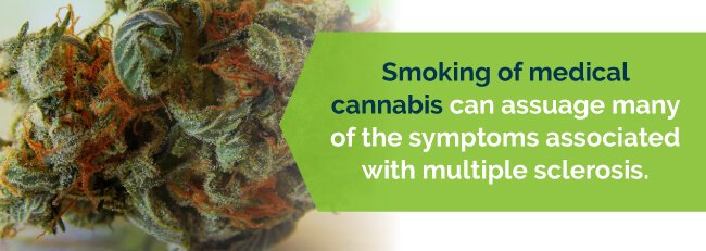 Navigating MS Spasticity: Top 3 Cannabis-Based Products