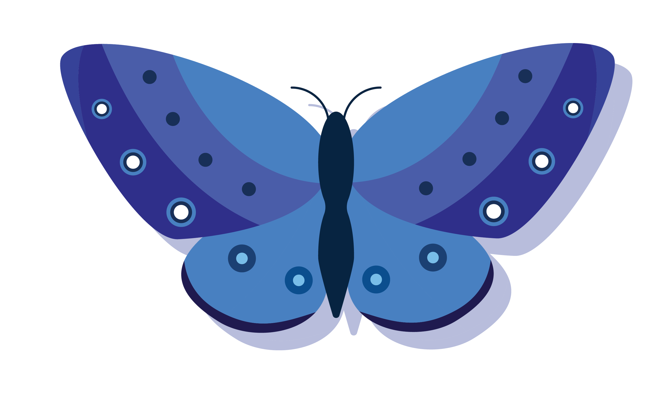 Blue and purple butterfly that is also depicted in Jill Vetstein's Counseling logo