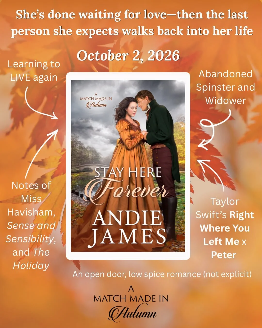 I received my first comment from a reader yesterday about how much they loved the sample chapters for STAY HERE FOREVER and can&rsquo;t wait for the full story, and honestly, it made my night!

The idea for this story came to me a while ago, inspired