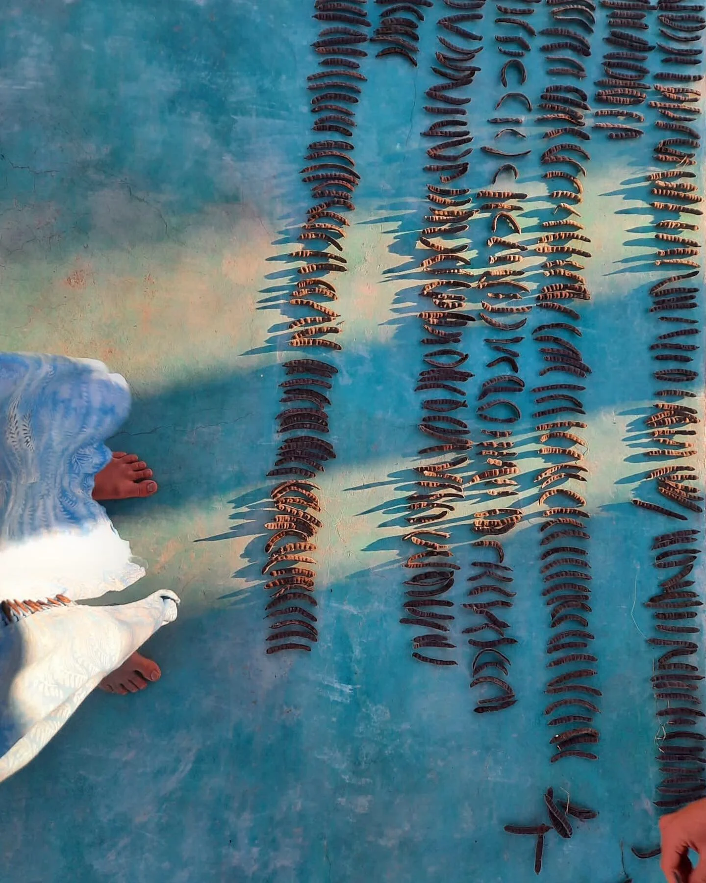 2021-11-22 22.24.52-2.jpg