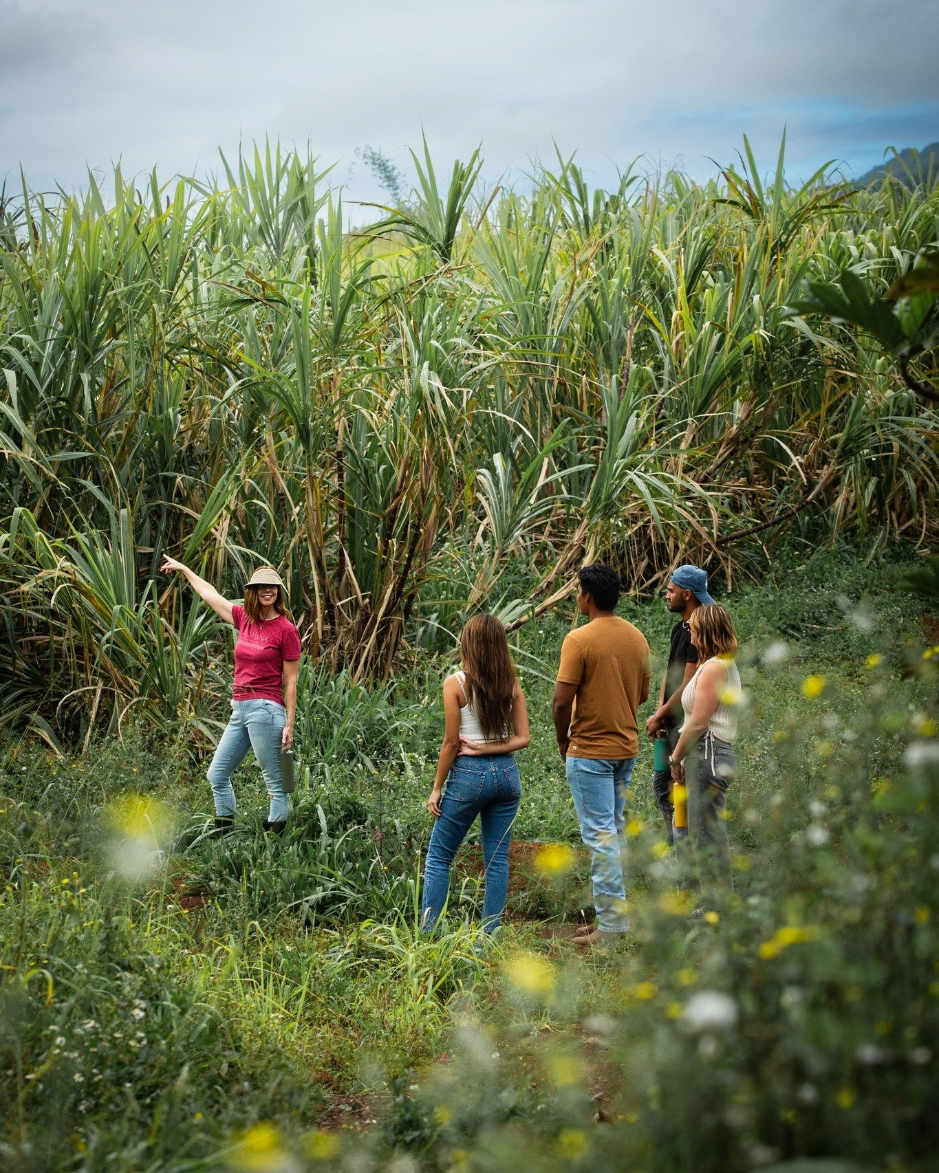 🌴 Looking for something quintessentially Hawaiian, unique, educational, and fun? Dive into the heart of Hawai'i's craft at Kō Hana Rum this weekend! Join us for a journey through our island farm, where you'll explore the heart of our rums, the field