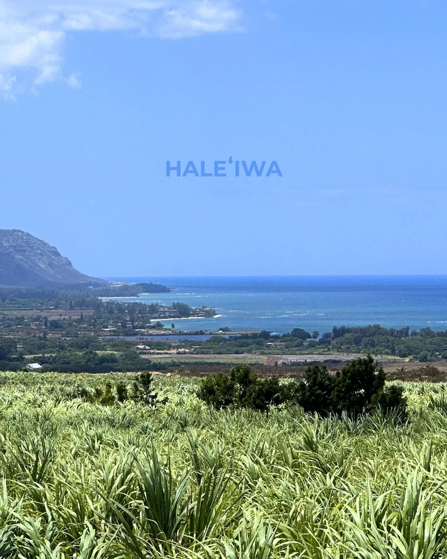 We&rsquo;re not posting this to talk about Kō Hana. We&rsquo;re posting it because this community is our community, and right now they need support more than anything. 

We&rsquo;re donating to @hawaiifoodbank to support recovery efforts. If you&rsqu