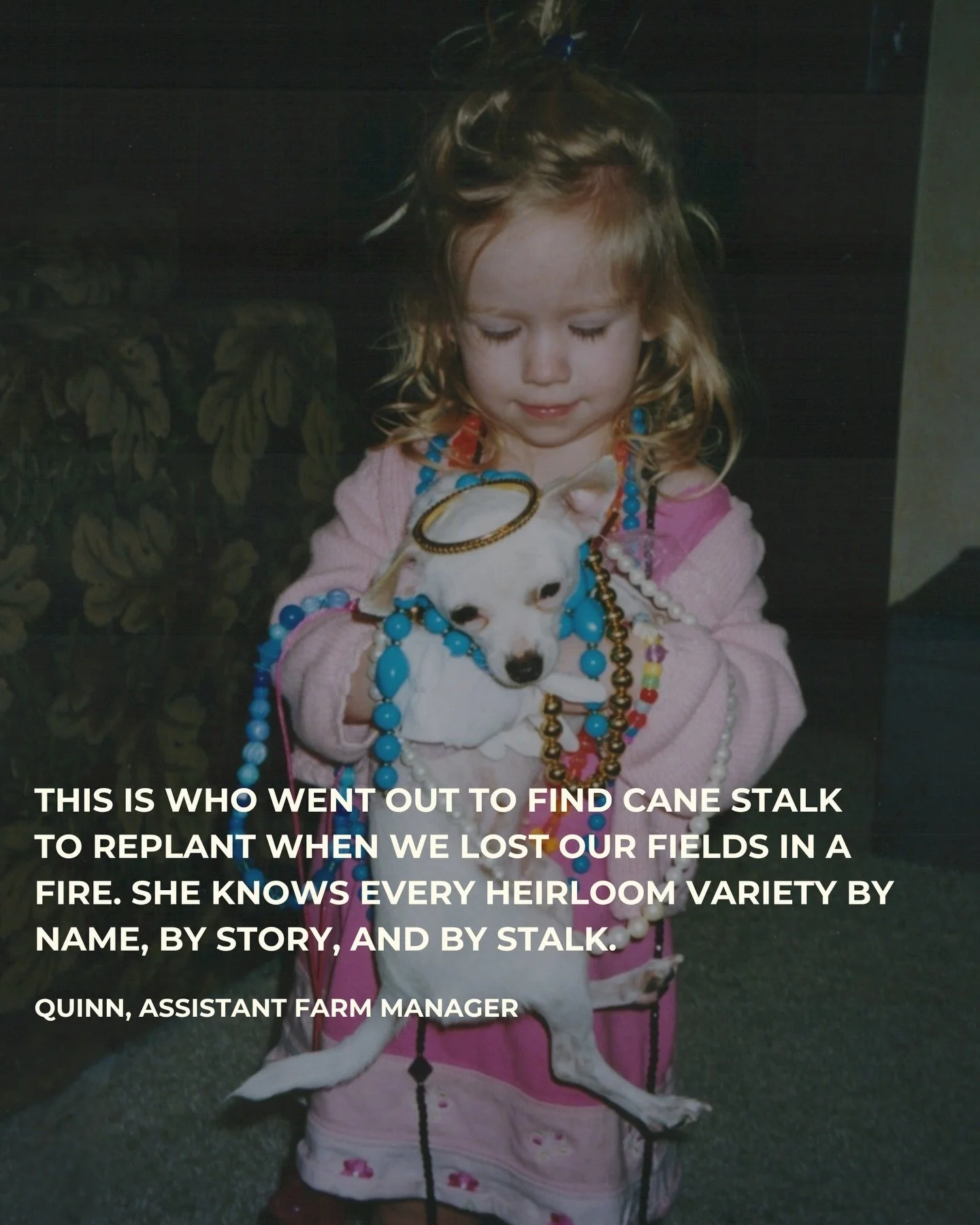 Meet the faces behind every bottle at Kō Hana🎋✨