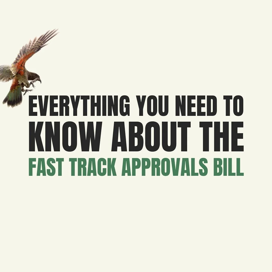 The government is choosing once again to put Profit before the Planet with their &lsquo;Fast Track Approvals Bill&rsquo; 

👉 Here&rsquo;s everything you need to know about the bill

📩 Submissions close 11:59pm on April 19th. We URGE you to make a s