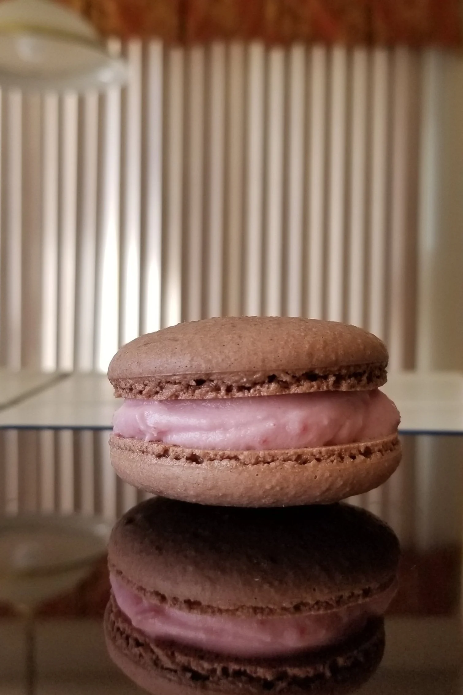 20210328_104717.jpg