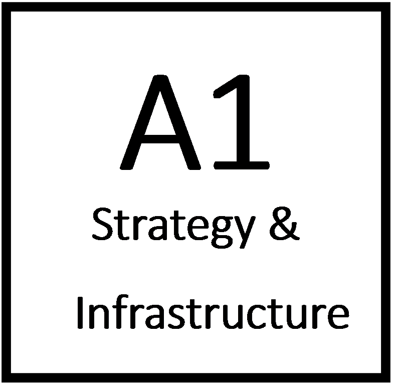 A1 Strategy  and Infrastructure