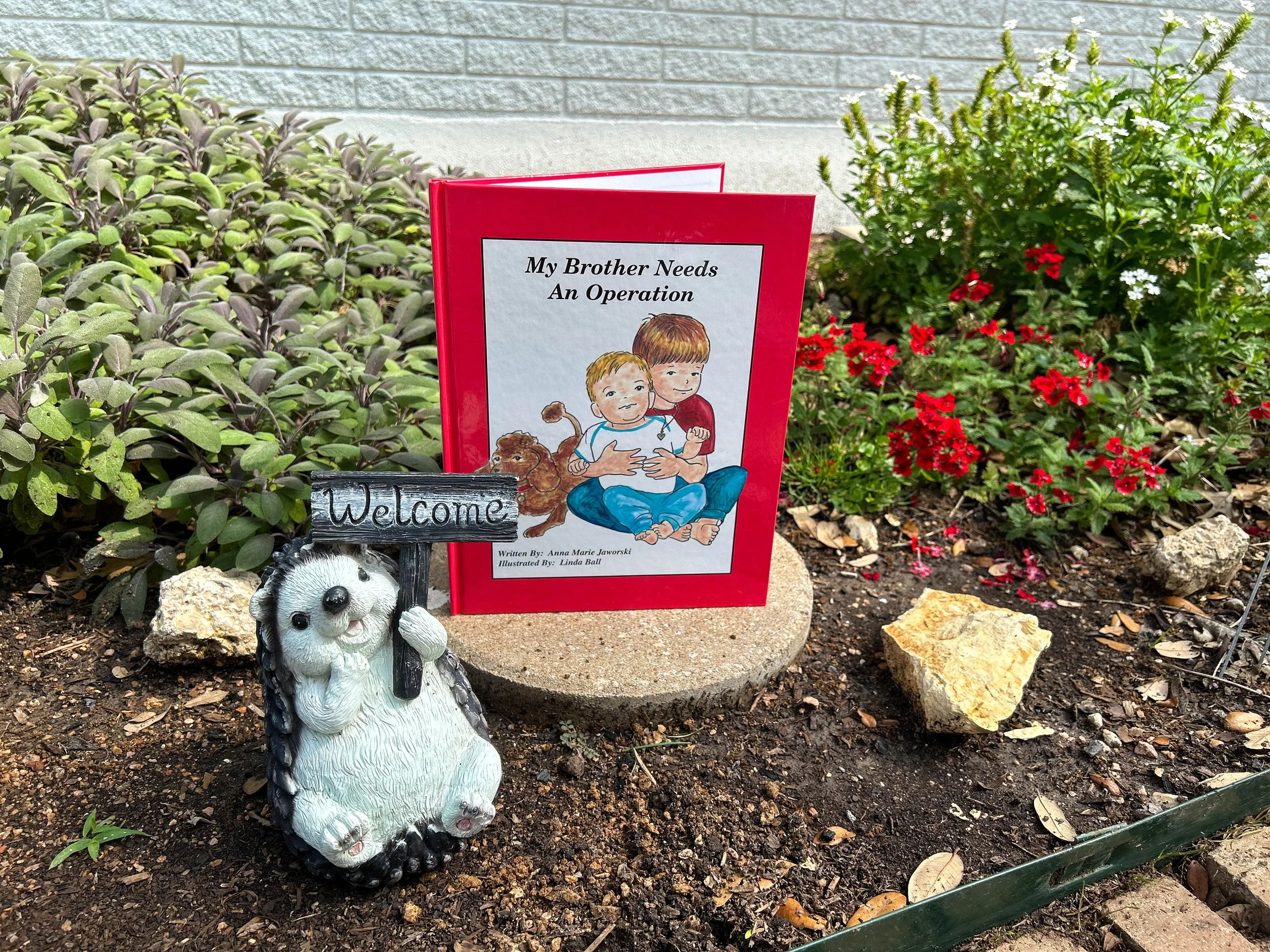 My Brother Needs an Operation