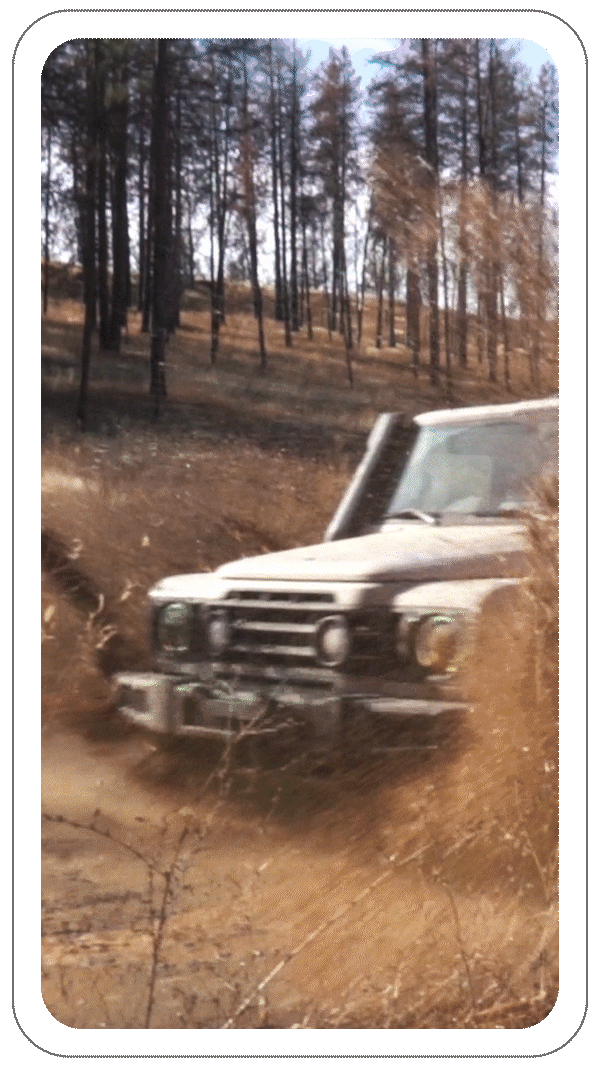 Off-road vehicle driving through tall grass in a wooded area.