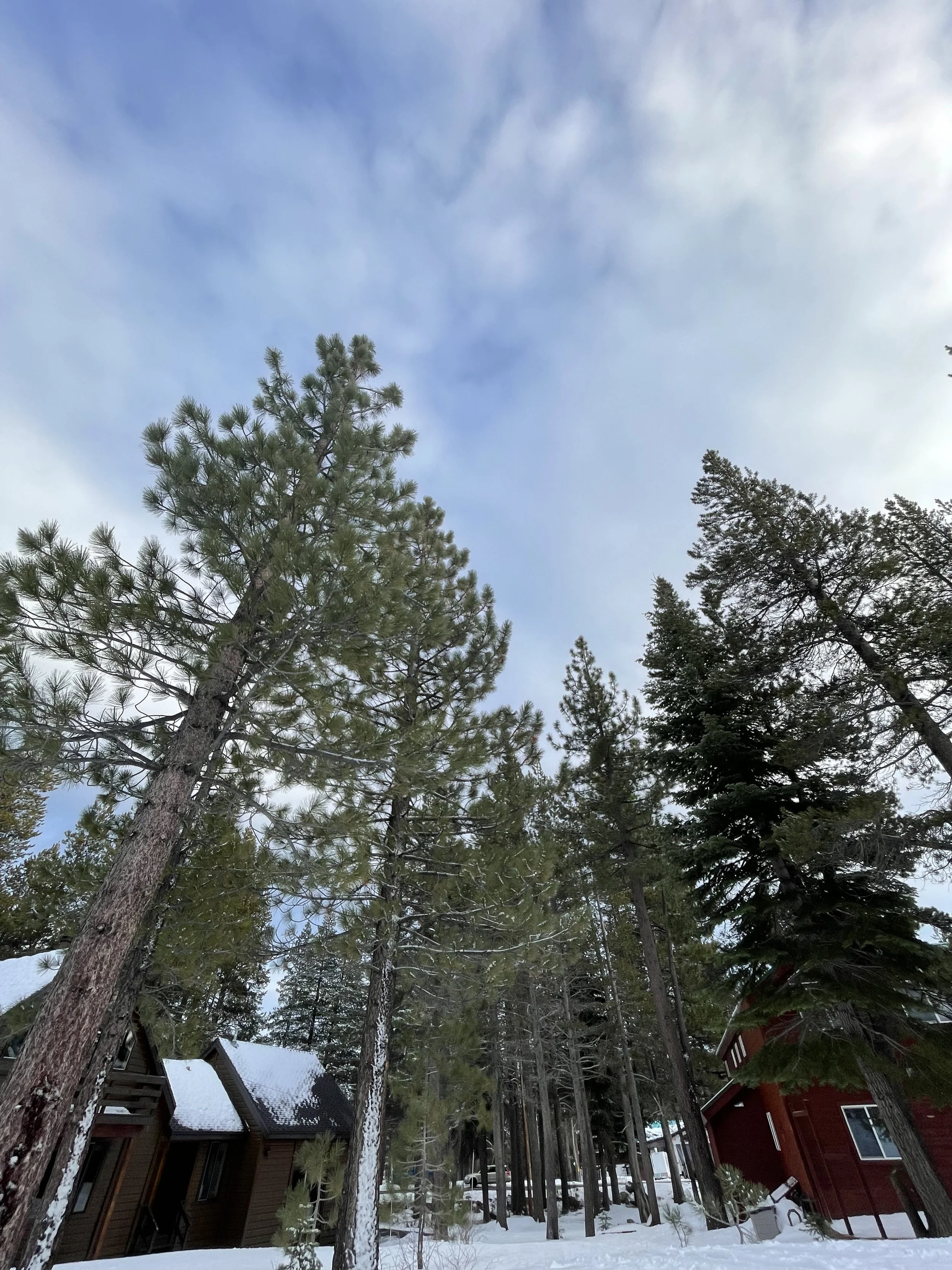 My New Year’s Tradition