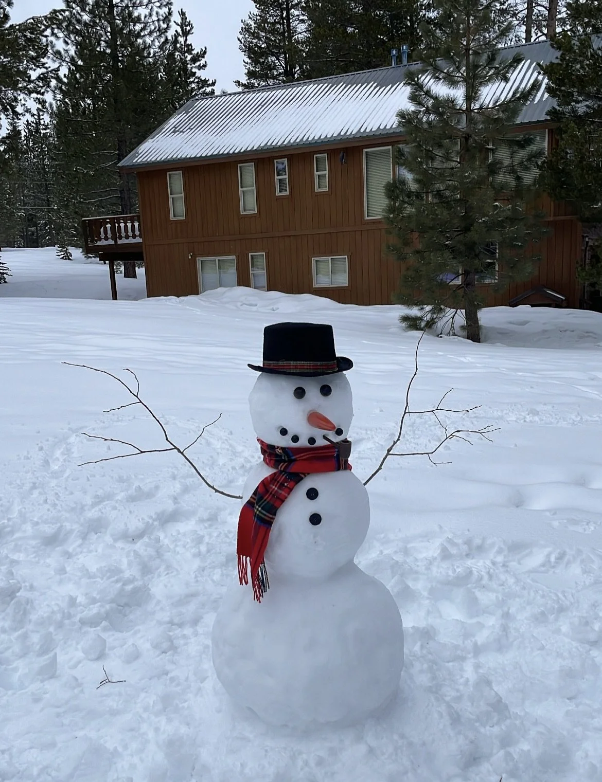 a little spark returns