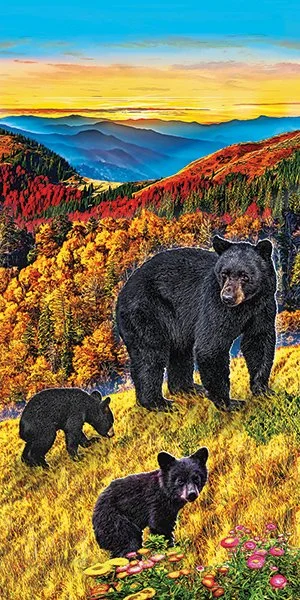 Black Bears @ the Smoky's