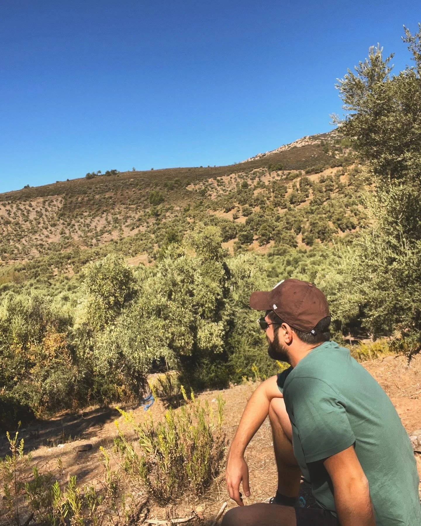 Heraclea: How Berk Bahceci Left Law to Bring Turkish Olive Oil to America