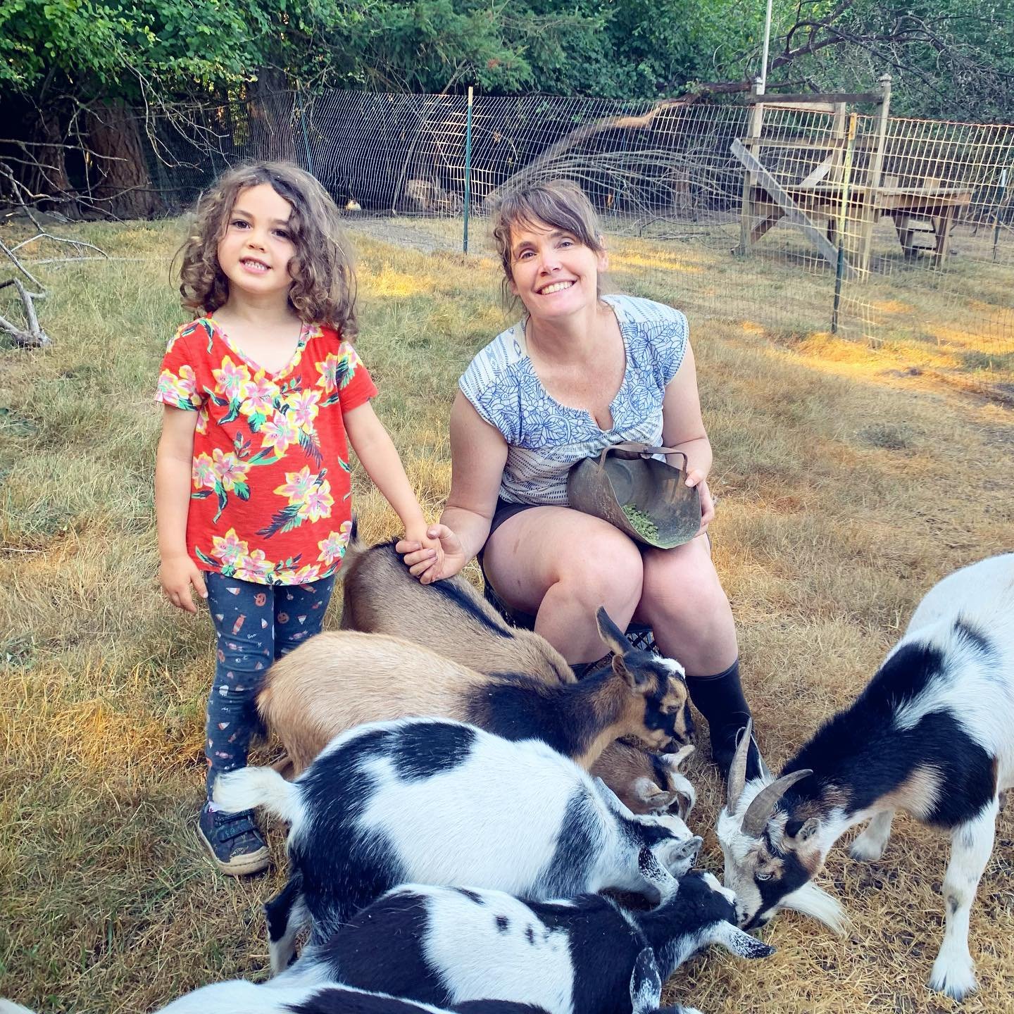 The human kids and I have been having daily goat kid cuddling sessions each morning as these cuties wean &amp; transition to being away from mamas. They are living instead with our babysitter goat auntie Violet&hellip; before heading to new homes. We