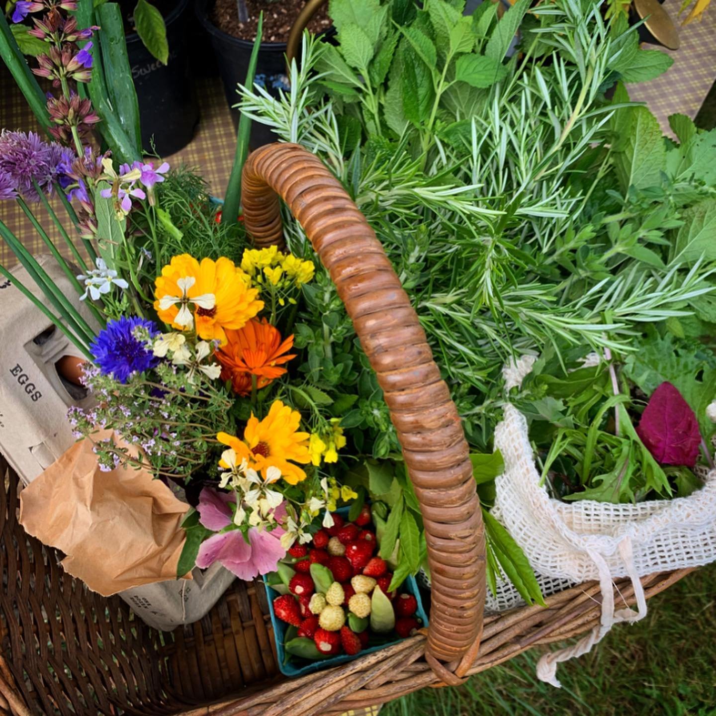 Some of the recent harvests&hellip; 
.
I&rsquo;ve been enjoying writing weekly emails with tidbits &amp; recipes for our little fresh food pickup mailing list. In addition to the singular items available like kale, root veggies, &amp; lettuce, I&rsqu