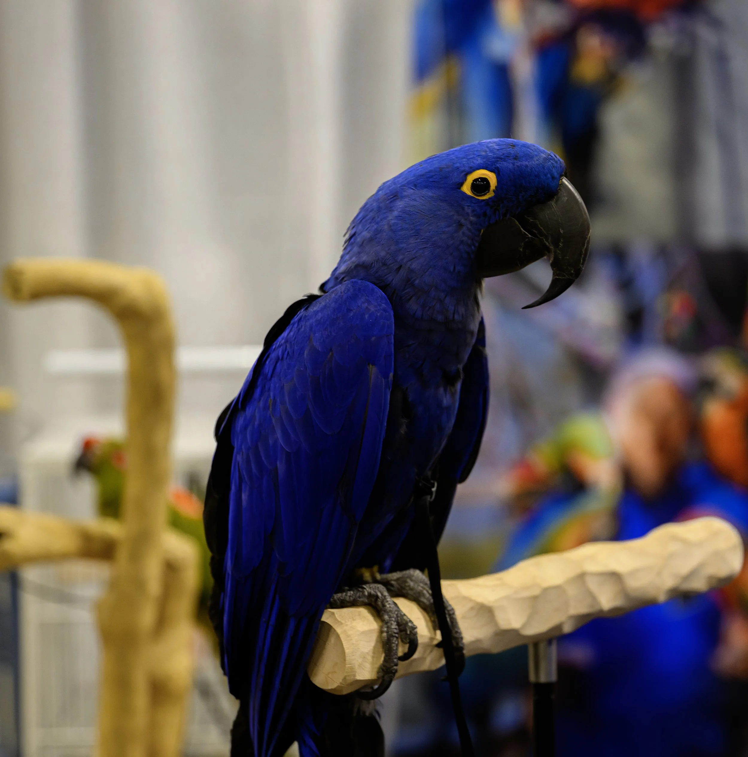 DSC_5604 (2).jpg