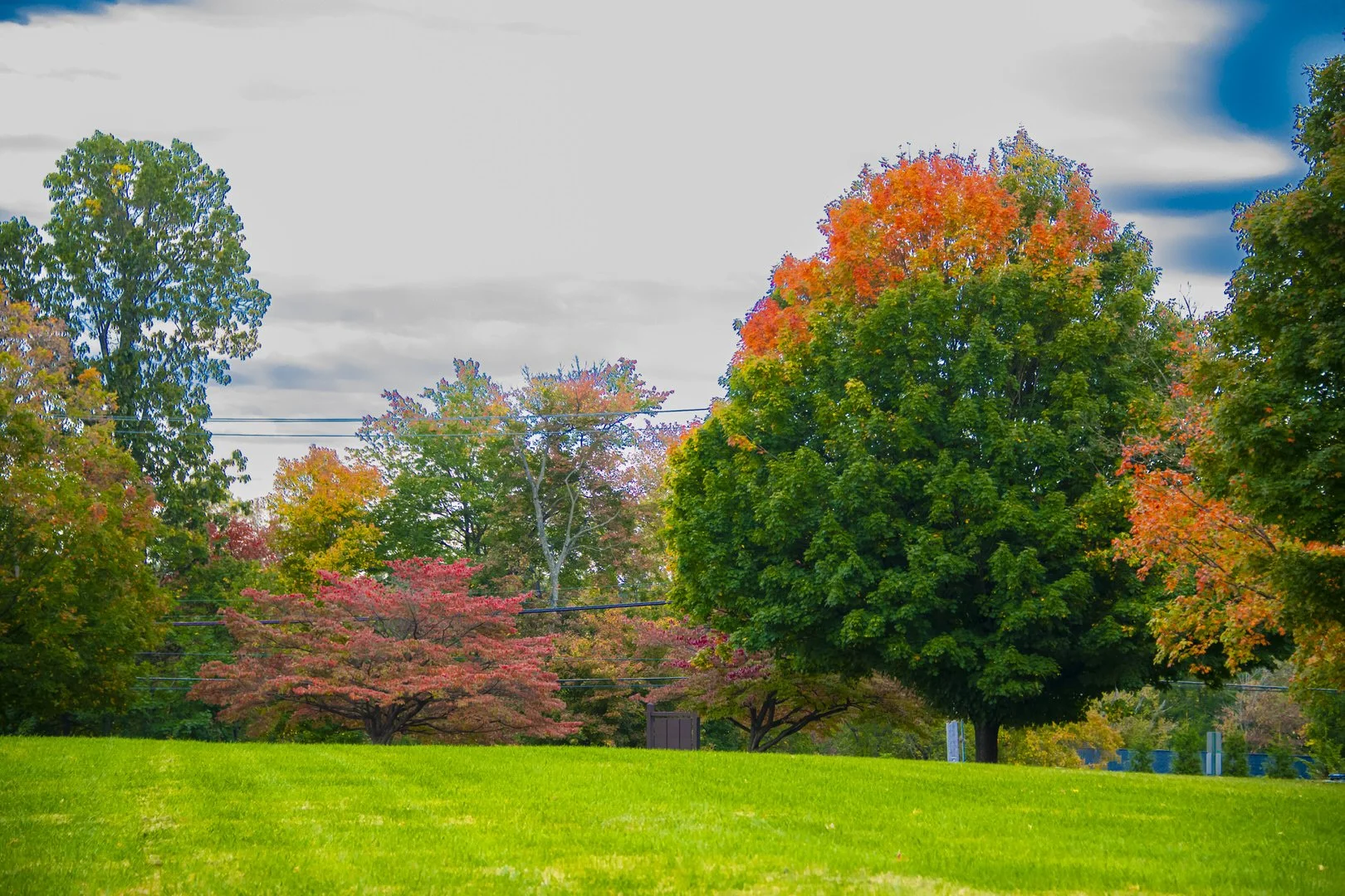 DSC_5350_1.jpg