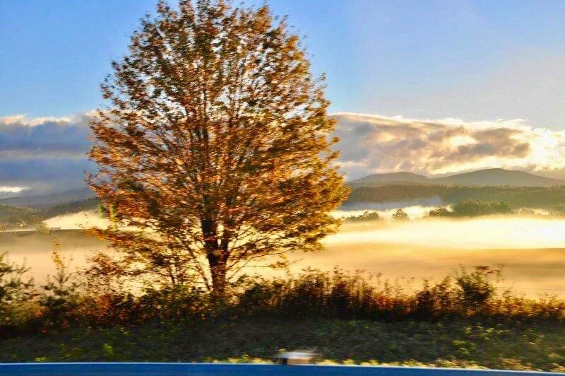 2020-09-27_20-27-00_788 (2).jpeg