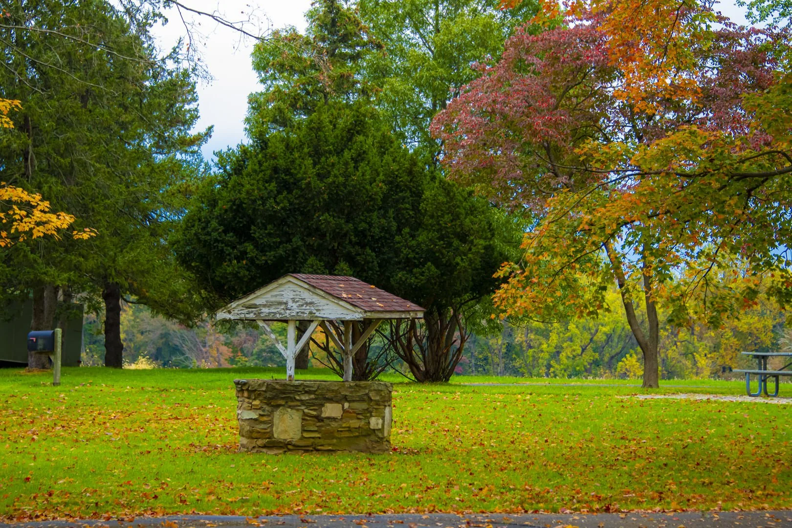 DSC_5366_1.jpg