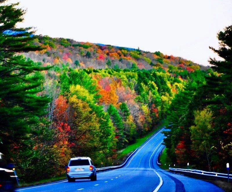 2020-09-27_20-27-41_140 (2).jpeg