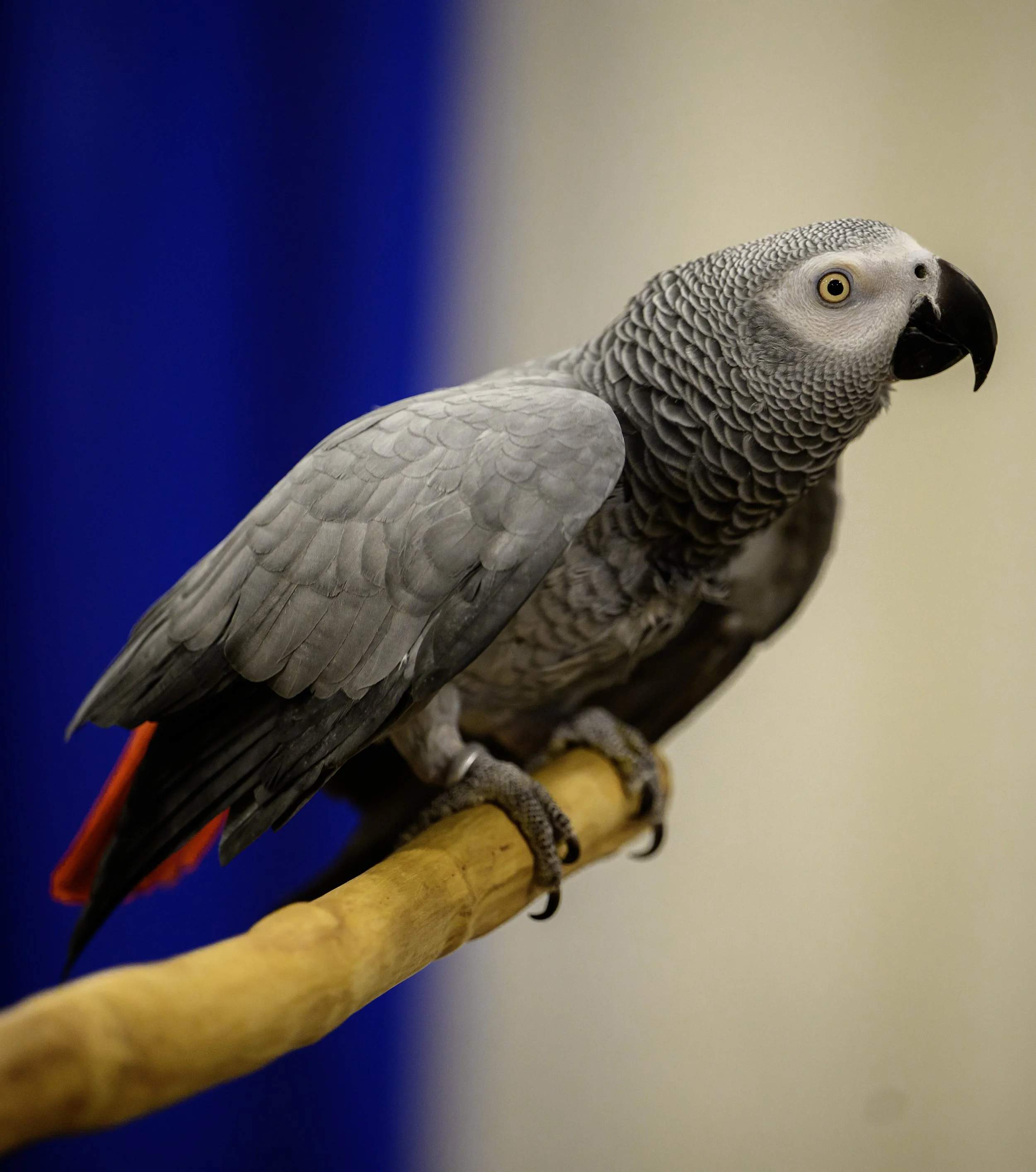DSC_6053 (2).jpg