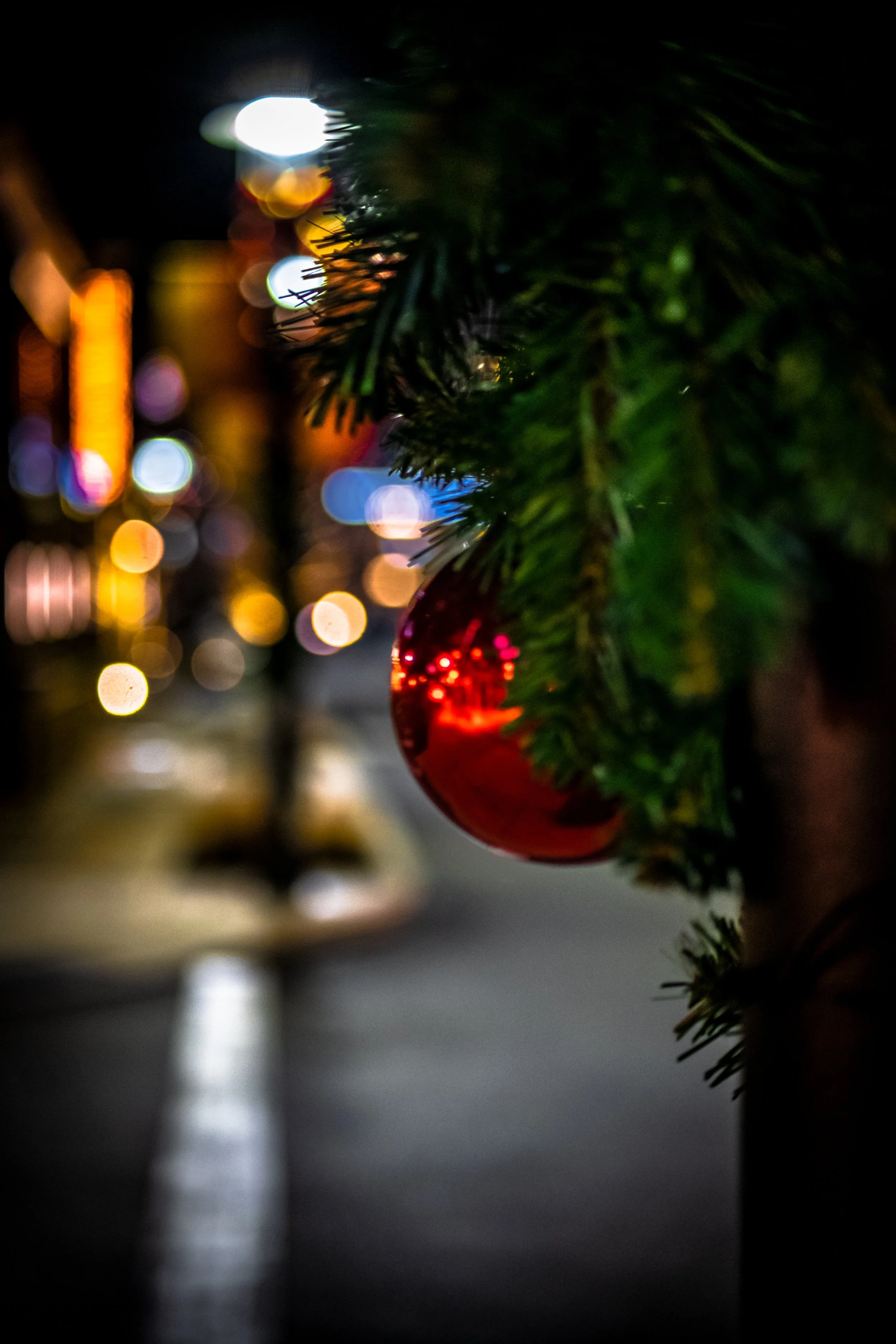 DSC_3707.jpg