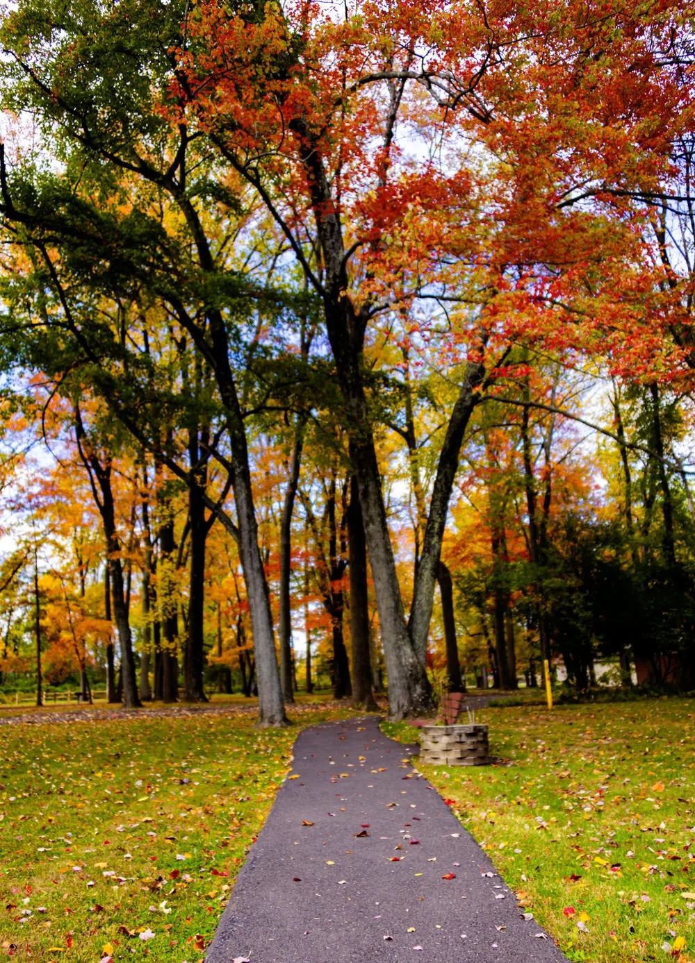 DSC_9455_2.jpg